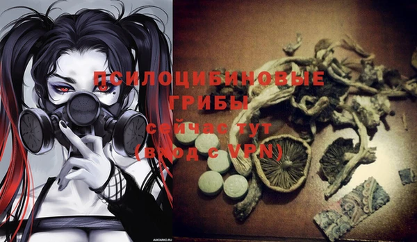 герыч Абаза