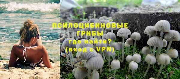 PSILOCYBIN Абинск