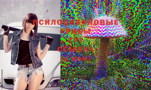 PSILOCYBIN Абинск