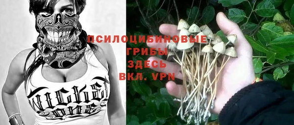 герыч Абаза